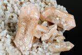 Peach Stilbite Crystals on Sparkling Quartz Chalcedony - India #176834-3